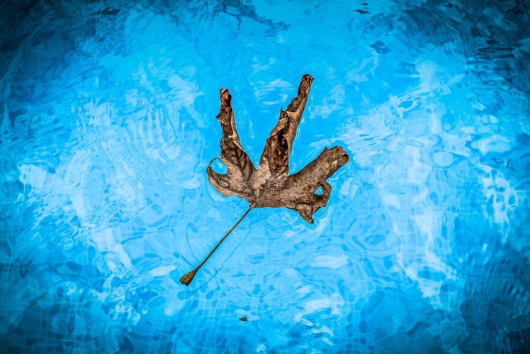 Fall Pool Closing